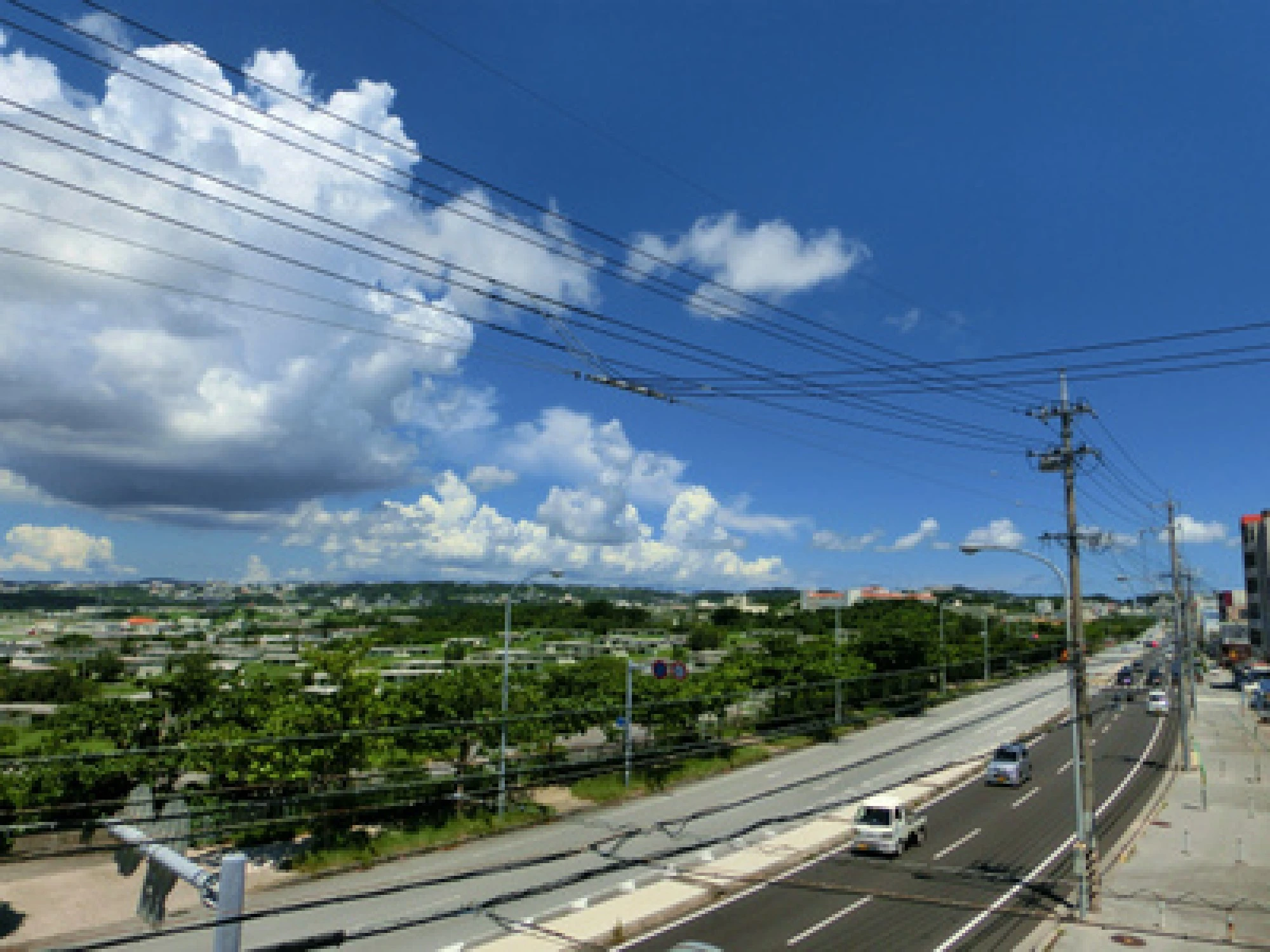 物件ID：1956画像